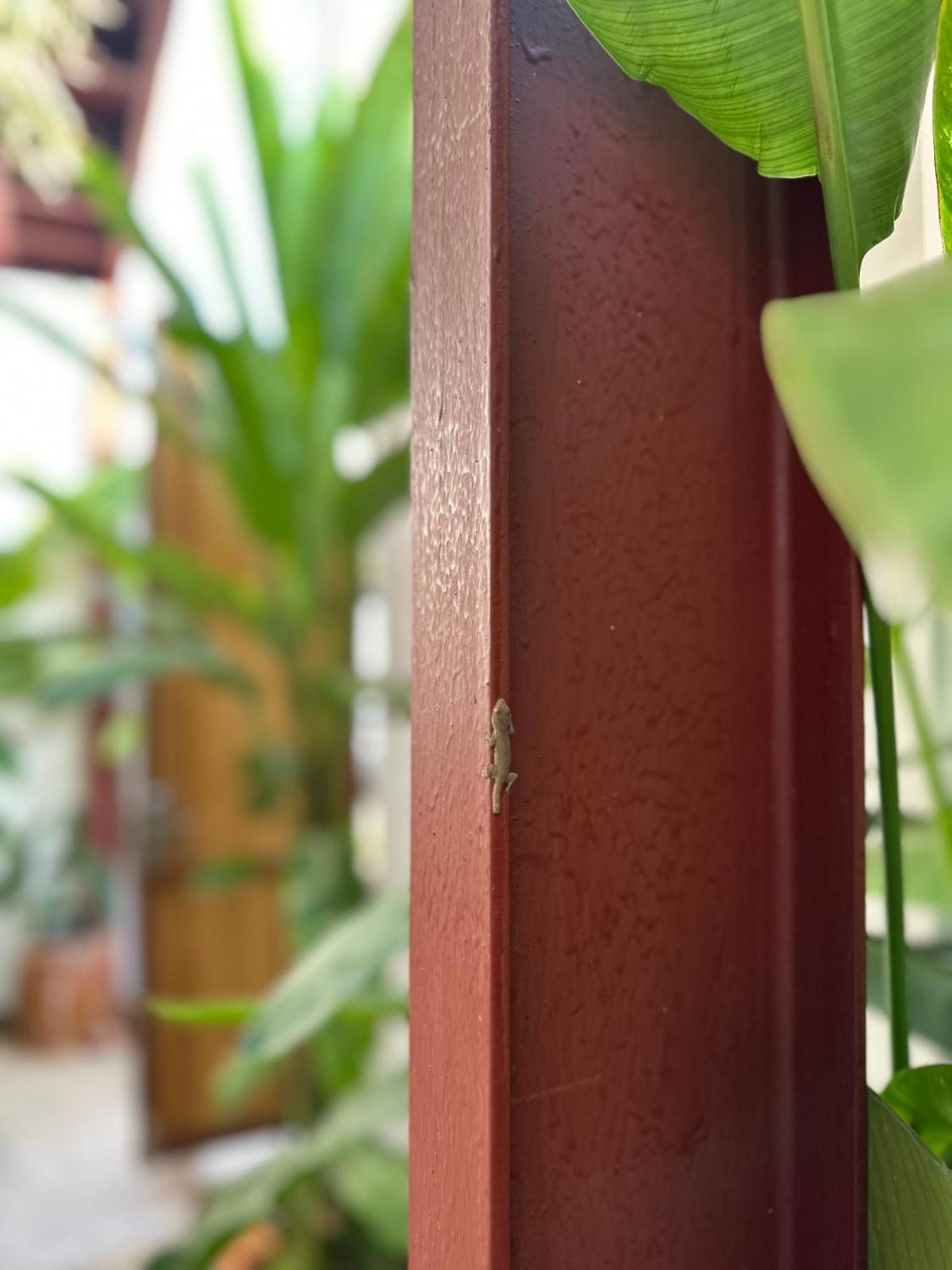 Palmcalina - Phuqui Beach House Cu Lao Thu Dış mekan fotoğraf