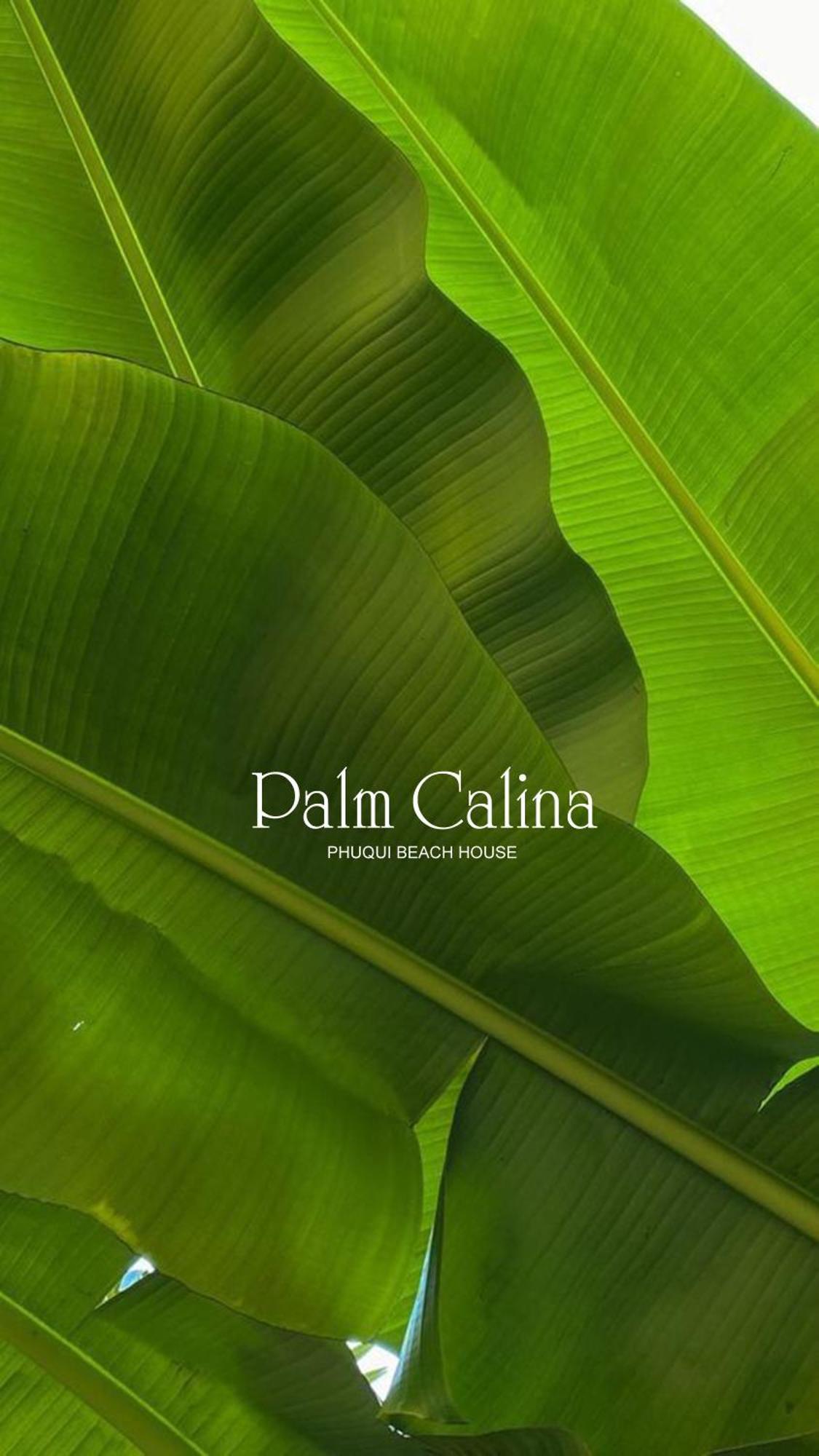 Palmcalina - Phuqui Beach House Cu Lao Thu Dış mekan fotoğraf