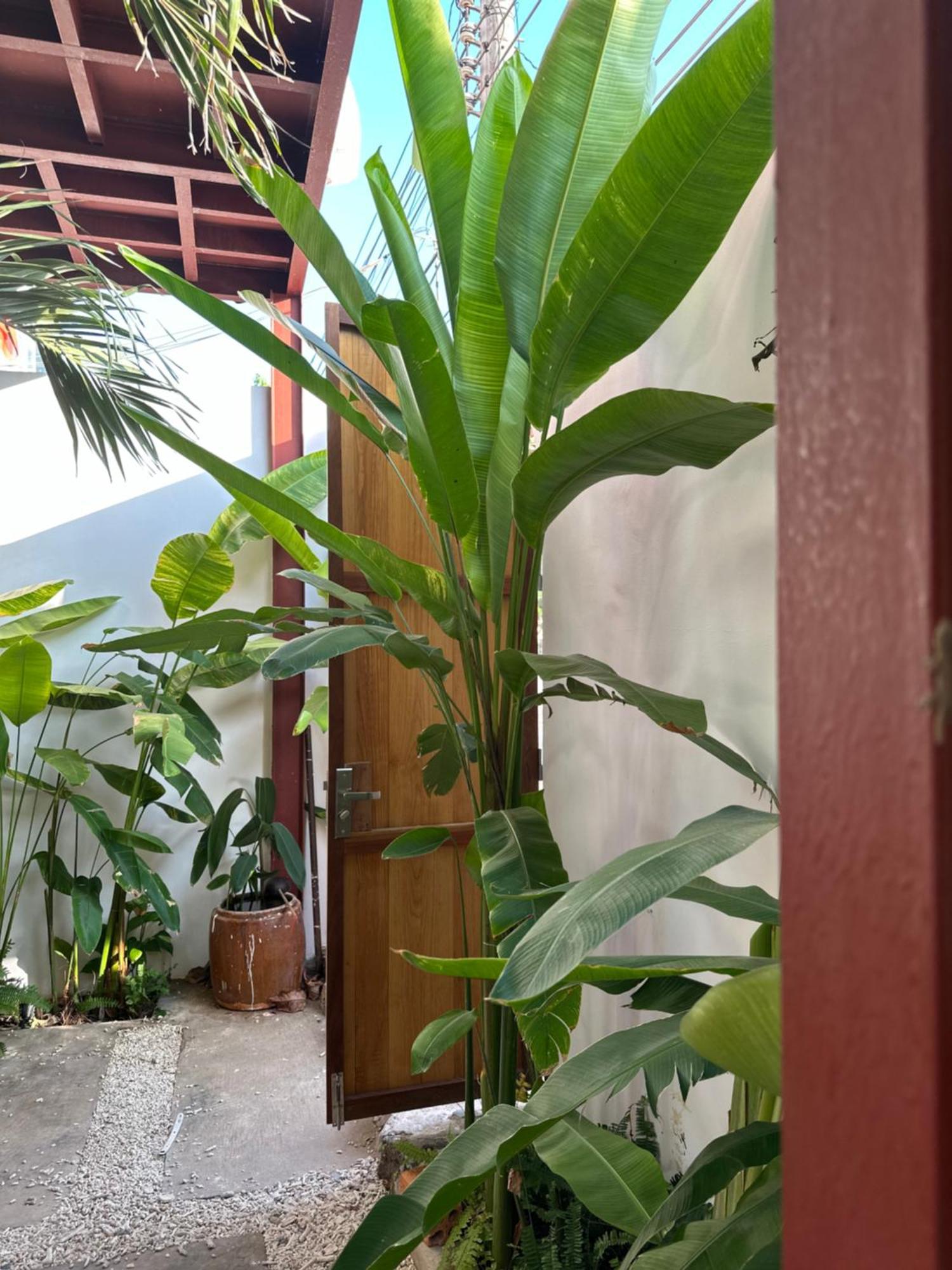 Palmcalina - Phuqui Beach House Cu Lao Thu Dış mekan fotoğraf