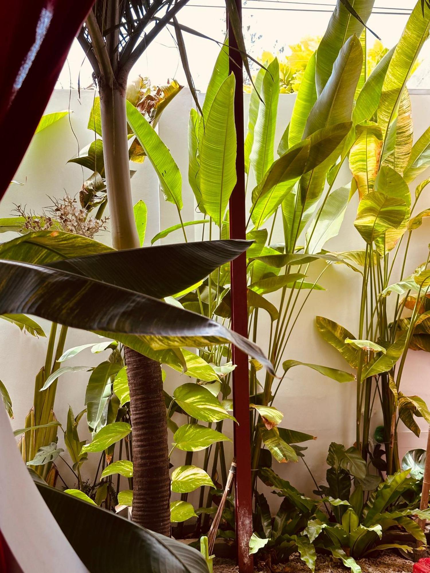 Palmcalina - Phuqui Beach House Cu Lao Thu Dış mekan fotoğraf