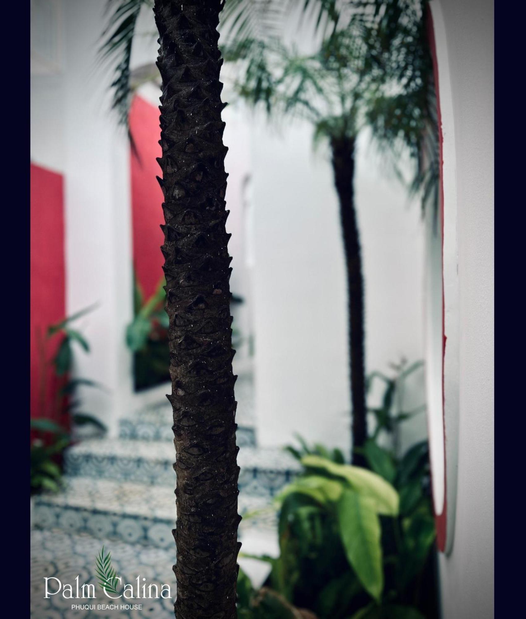 Palmcalina - Phuqui Beach House Cu Lao Thu Dış mekan fotoğraf