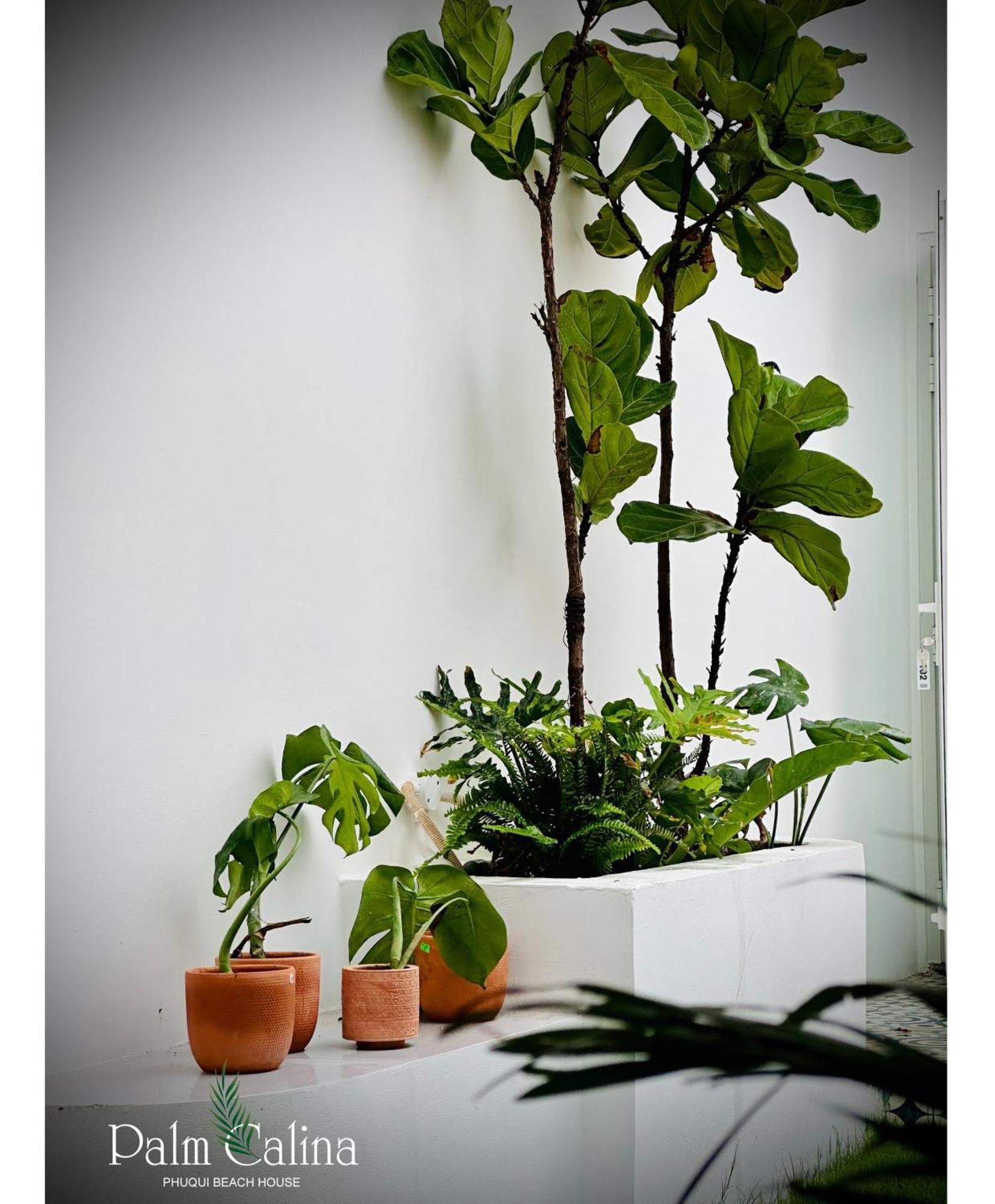 Palmcalina - Phuqui Beach House Cu Lao Thu Dış mekan fotoğraf